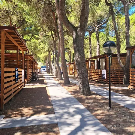 Small Camp Salinello Campsite *