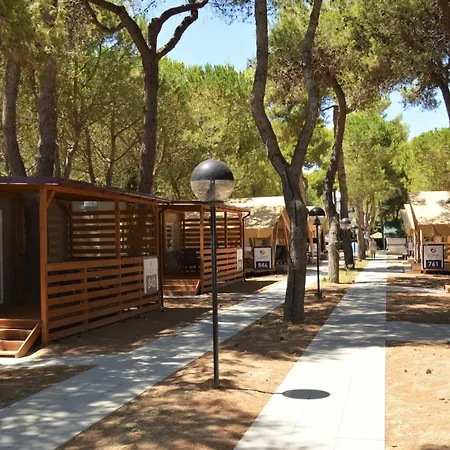 Small Camp Salinello